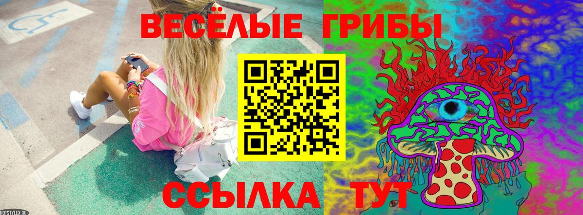 Псилоцибиновые грибы Cubensis  Вход с VPN  Сарапул 